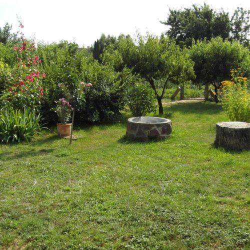 Ilona Apartmanok Balatonboglár エクステリア 写真